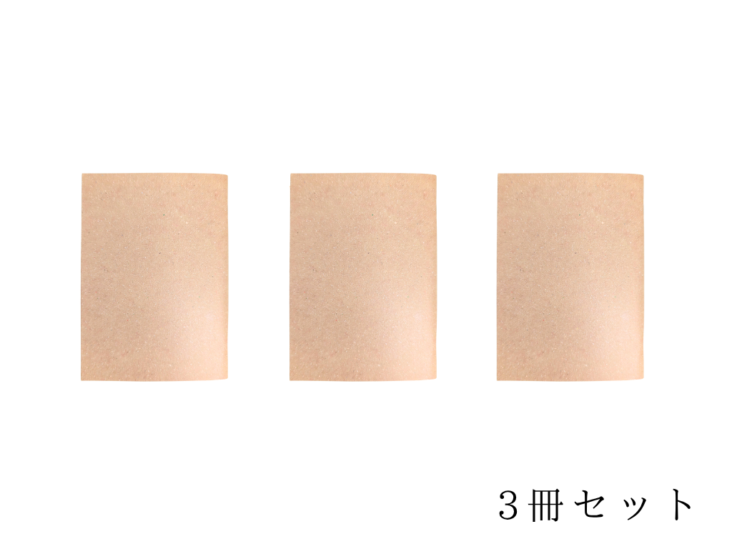 方眼ノートパスポートサイズ(B7)【LUCE RING prossimo パスポート交換用品】